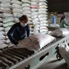 Tiền Giang quan tâm quy hoạch vùng sản xuất để nâng chất lượng gạo