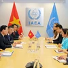 Việt Nam sẽ tích cực tham gia dự án hợp tác kỹ thuật IAEA khởi xướng