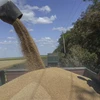 Litva kêu gọi EU giúp Ukraine xuất khẩu ngũ cốc qua các nước Baltic