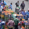 Giá cà chua tăng cao kỷ lục, người tiêu dùng Ấn Độ lao đao