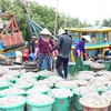 Tiền Giang nâng cao nhận thức về chống khai thác IUU cho ngư dân
