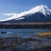 Nhật Bản có thể phải dùng biện pháp kiểm soát đám đông leo núi Phú Sĩ