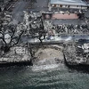 Mới kiểm soát được 80% đám cháy rừng ở Hawaii, 67 người đã tử vong