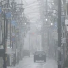 Bão Lan càn quét Nhật Bản khiến ít nhất 49 người bị thương
