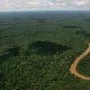 Người dân Ecuador bỏ phiếu đình chỉ khai thác dầu tại khu vực Amazon