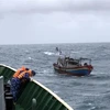 Chìm tàu cá khi hoạt động trên biển, 4 lao động được cứu an toàn