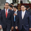 Thủ tướng hội kiến Tổng thống Indonesia, tiếp Tổng Giám đốc IMF