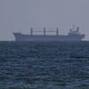 Các tàu chở ngũ cốc trên Biển Đen đã đến cảng của Ukraine
