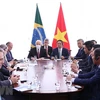 Quan hệ Việt Nam-Brazil phát triển tích cực, ngày càng hiệu quả