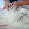 Tổng thống Indonesia chỉ đạo nhập khẩu 1 triệu tấn gạo từ Trung Quốc