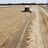 Ba Lan, Ukraine đẩy nhanh vận chuyển ngũ cốc sang nước thứ ba