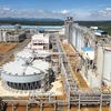 Tổ hợp nhà máy Alumin Tân Rai có nguy cơ dừng hoạt động