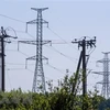 Chính phủ Đức đạt được thỏa thuận giảm thuế điện sau nhiều tranh cãi