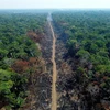 Một khoảng rừng Amazon bị đốt phá. (Ảnh: AFP/TTXVN)