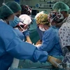 Các bác sỹ thực hiện một ca cấy ghép ruột. (Ảnh minh họa. Reuters/TTXVN)