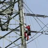 Mạng lưới điện gần Munich, Đức. (Ảnh: AFP/TTXVN\)