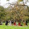 Du khách tham quan Khu Du lịch Sinh thái Vườn Hồng Nam Anh, huyện Nam Đàn (Nghệ An). (Ảnh: Văn Tý/TTXVN)