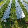 Tấm năng lượng mặt trời tại tỉnh Quý Châu, Trung Quốc. (Ảnh: AFP/TTXVN)