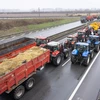 Nông dân Pháp phong tỏa cao tốc A1 nối thủ đô Paris và Lille trong cuộc biểu tình ở Lesquin, miền Bắc Pháp, ngày 25/1. (Ảnh: THX/TTXVN)