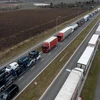 Xe tải xếp hàng chờ đi qua cửa khẩu biên giới Ba Lan-Ukraine tại Medyka, đông nam Ba Lan, ngày 17/2. (Ảnh: AFP/TTXVN)