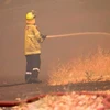 Lính cứu hỏa dập lửa cháy rừng tại phía Đông thành phố Perth, ngày 21/12/2023. (Ảnh: AFP/TTXVN)