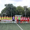 Bóng đá là môn thể thao thu hút sự tham gia đông đảo của bà con người Việt tại Singapore. (Ảnh: Lê Dương/TTXVN)