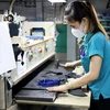 Công nhân làm giày da Công ty Cổ phần Tập đoàn Gia Định, thành phố Thủ Đức, Thành phố Hồ Chí Minh. (Ảnh: Hồng Đạt/TTXVN)