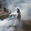 Nhân viên y tế phun thuốc diệt muỗi nhằm ngăn chặn sự lây lan của bệnh sốt xuất huyết tại San Juan de Lurigancho, Lima (Peru). (Ảnh: AFP/TTXVN)
