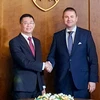 Việt Nam và Slovakia thúc đẩy các hoạt động trao đổi đoàn trong thời gian tới