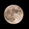 Mặt trăng. (Ảnh: AFP/ TTXVN)