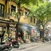 Các cửa hàng bán thuốc Đông Nam dược nằm san sát nhau trên phố Lãn Ông. (Ảnh: Vietnam+)