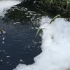 Nguồn nước thải đổ vào kênh Gò Kén có màu đen đặc, nổi bọt trắng, bốc mùi hôi thối. (Ảnh: Minh Phú/TTXVN)