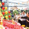 Rất đông cộng đồng người Việt đang làm ăn sinh sống tại Lào tham dự nghi lễ Tắm Phật trong Đại lễ Phật đản Phật lịch 2568. (Ảnh: Phạm Kiên/TTXVN)