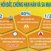 Ngày Môi trường Thế giới 5/6: Phục hồi đất, chống hạn hán và sa mạc hóa