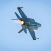Máy bay chiến đấu tàng hình F-35 Lightning II do hãng Lockheed Martin của Mỹ sản xuất. (Ảnh: PAP/TTXVN)