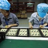 Lắp ráp linh kiện điện tử dùng cho ngành máy in tại Công ty TNHH công nghệ điện tử Chee Yuen Việt Nam, vốn đầu tư của Đài Loan (Trung Quốc) ở khu công nghiệp An Dương, huyện An Dương, Hải Phòng. (Ảnh: Vũ Sinh/TTXVN)