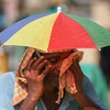 Người dân che ô và quấn khăn khi di chuyển ngoài trời trong ngày nắng nóng tại Varanasi, Ấn Độ. (Ảnh: AFP/TTXVN)