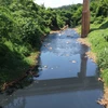 Bình Phước: Ô nhiễm nghiêm trọng tại dòng suối chảy quanh huyện Phú Riềng