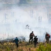 Lính cứu hỏa Israel dập tắt đám cháy gây ra bởi rocket bắn từ phía Liban rơi xuống Cao nguyên Golan ngày 13/6. (Ảnh: THX/TTXVN)