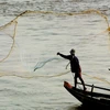 Đánh bắt cá trên sông Mekong gần Phnom Penh, Campuchia. (Ảnh: AFP/TTXVN)