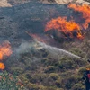 Lực lượng cứu hỏa nỗ lực dập lửa cháy rừng tại Keratea, đông nam Athens, Hy Lạp. (Ảnh: THX/TTXVN)