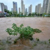 Mực nước sông dâng cao sau những trận mưa lớn tại tỉnh Hồ Nam, Trung Quốc. (Ảnh: THX/TTXVN)