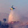 Trực thăng phun nước dập lửa cháy rừng tại Keratea, Đông Nam Athens, Hy Lạp. (Ảnh: THX/TTXVN)