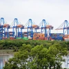 Dự án cảng tổng hợp và container Cái Mép Hạ được SCIC-Tập đoàn Geleximco - Công ty ITC đề xuất đầu tư. (Ảnh: Hồng Đạt/TTXVN)