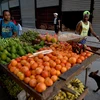 Người dân bán rau quả trên đường phố tại La Habana, Cuba, ngày 11/6/2019. (Ảnh: AFP/ TTXVN)