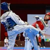 Thi đấu đối kháng môn Taekwondo. (Ảnh minh họa. Thanh Tùng/TTXVN)