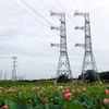 Đường dây 500kV mạch 3 Quảng Trạch-Phố Nối có tổng chiều dài khoảng 519km, đi qua địa bàn 9 tỉnh, gồm: Quảng Bình, Hà Tĩnh, Nghệ An, Thanh Hóa, Ninh Bình, Nam Định, Thái Bình, Hải Dương và Hưng Yên, tổng mức đầu tư khoảng 22.300 tỉ đồng. (Ảnh: Huy Hùng/TTXVN)