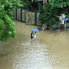 Đường Phạm Văn Xảo, phường Lào Cai, thành phố Lào Cai bị lũ tràn vào, ngập trong biển nước lúc 11g30 ngày 9/9 khiến người dân đi lại khó khăn. (Ảnh: Quốc Khánh/TTXVN)