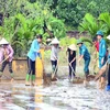 Người dân và các cơ quan chức năng thị trấn Cẩm Khê, huyện Cẩm Khê nỗ lực khắc phục hậu quả sau lũ. (Ảnh: Tạ Toàn/TTXVN)