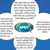 Tuần lễ cấp cao APEC 2024: Điểm nhấn quan trọng của Năm APEC 2024